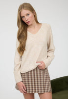 Basic V Neck Sweater
