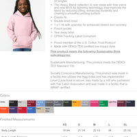 Youth Hooded Sweatshirt